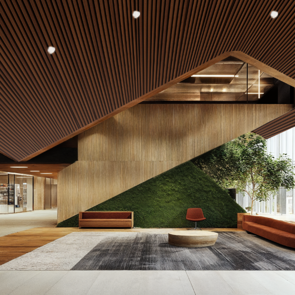 An office lobby with luscious greenery, wooden acoustical paneled ceilings, and laminate flooring.