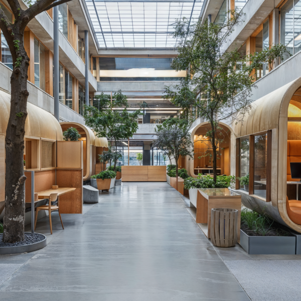 Micro-learning pods in a university, featuring natural light, plants and greenery, and modern wooden micro-learning pods with comfortable seating.