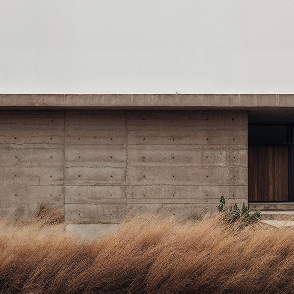 A photograph of a small, simple one-story concrete house, large windows, and a door on the right side, surrounded by tall grasses.