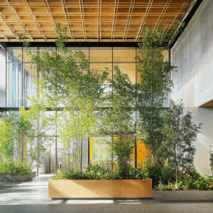 A biophilic hospital lobby with lush greenery, wood paneled ceilings, and ceiling height glass windows.