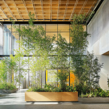 A biophilic hospital lobby with lush greenery, wood paneled ceilings, and ceiling height glass windows.
