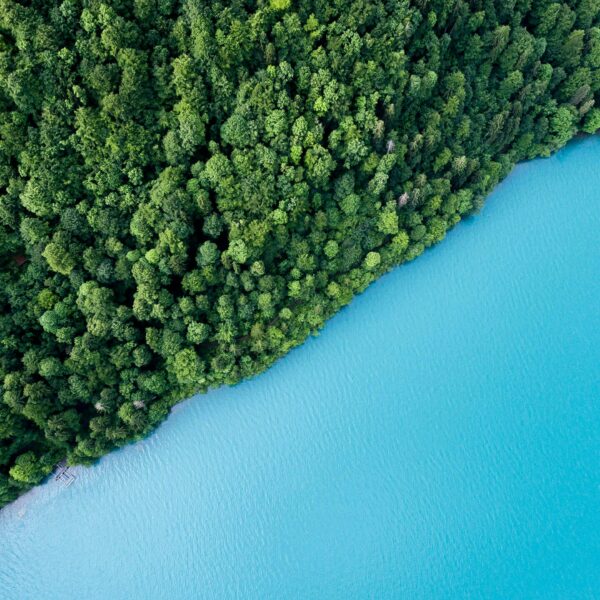 Aerial nature shot of vivid bright blue water meeting the shoreline of a thick forest of green trees.