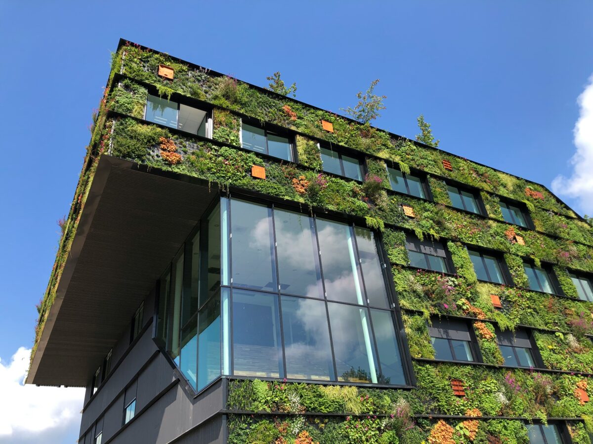 Urban Green Walls For Penthouse Buildings preview
