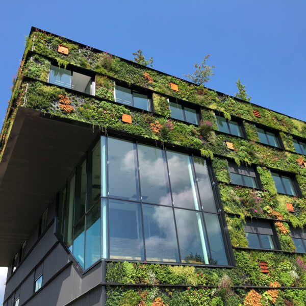 Exterior building with green walls surrounding large glass windows.