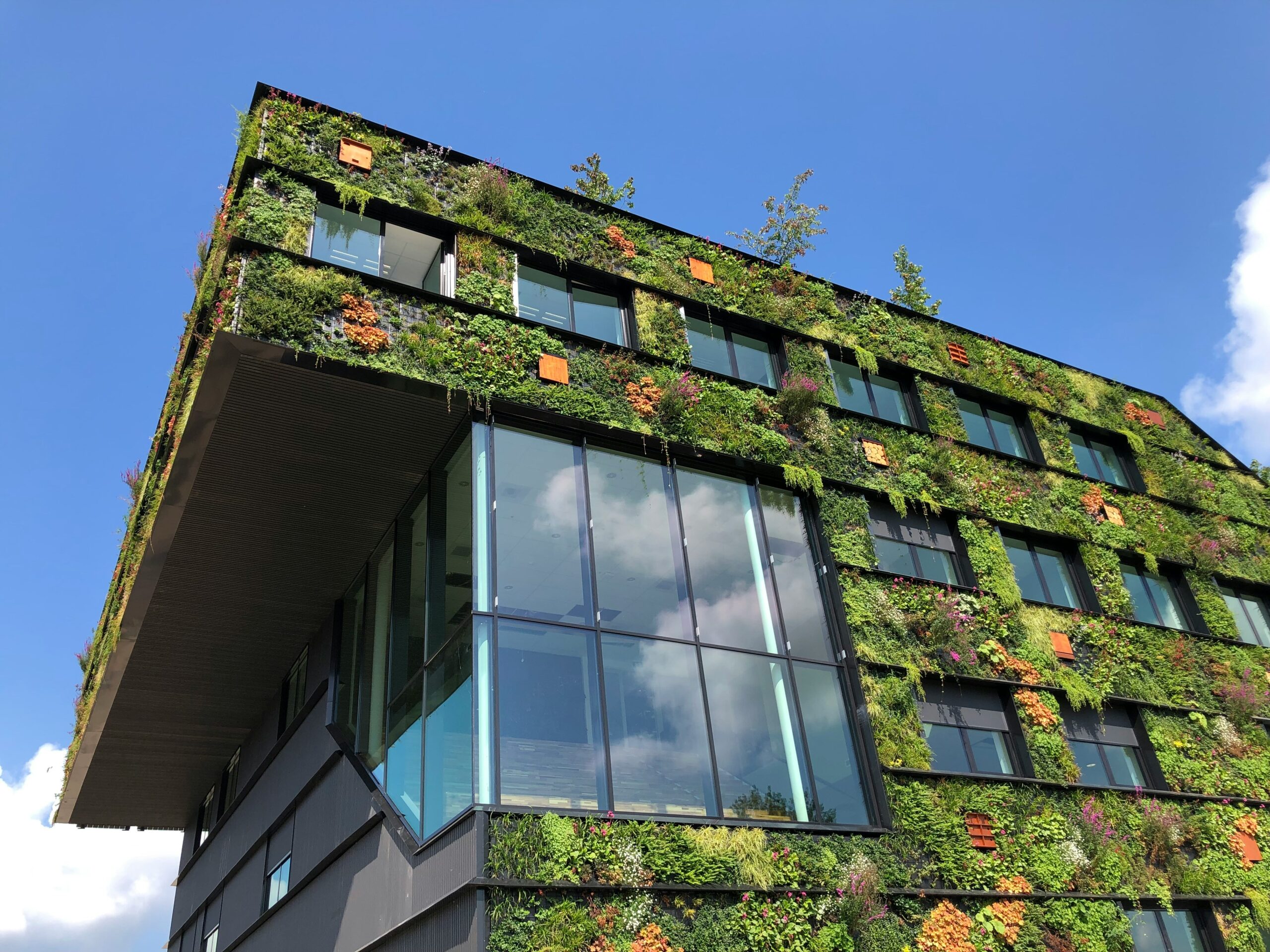 Exterior building with green walls surrounding large glass windows.