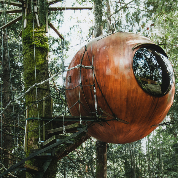 Brown round tree house with large window facing into the woods. Spiral staircase leading up to the tree house.