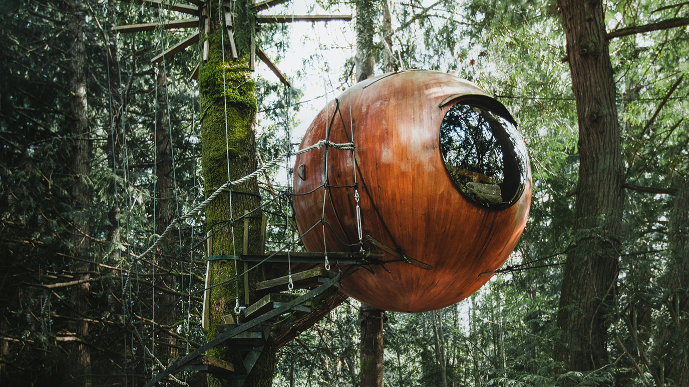 Brown round tree house with large window facing into the woods. Spiral staircase leading up to the tree house.