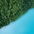 Aerial nature shot of vivid bright blue water meeting the shoreline of a thick forest of green trees.